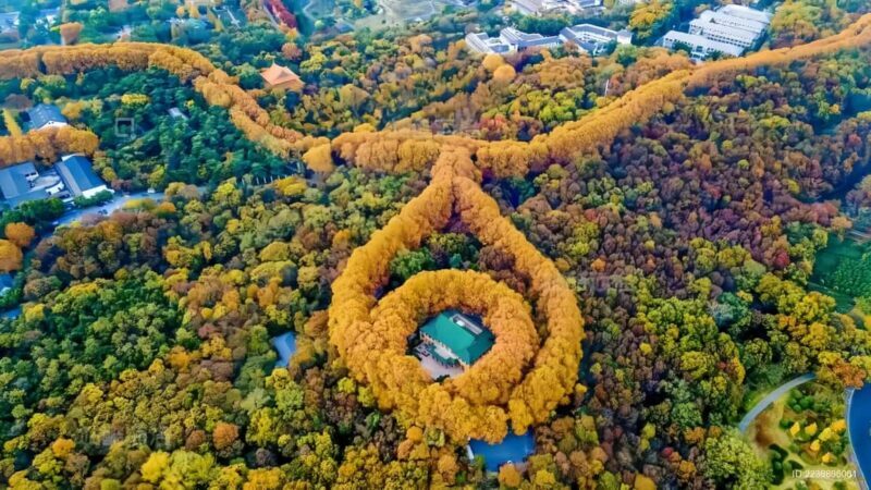 From Shanghai: Nanjing Private Day Trip by High-Speed Rail - Value and Practicality