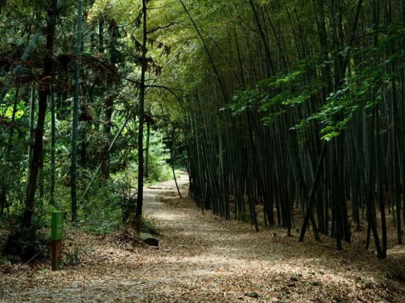 From Shanghai: Xiaoshao Ancient Road Journey - The Journey Begins: A Well-Organized Day of Discovery