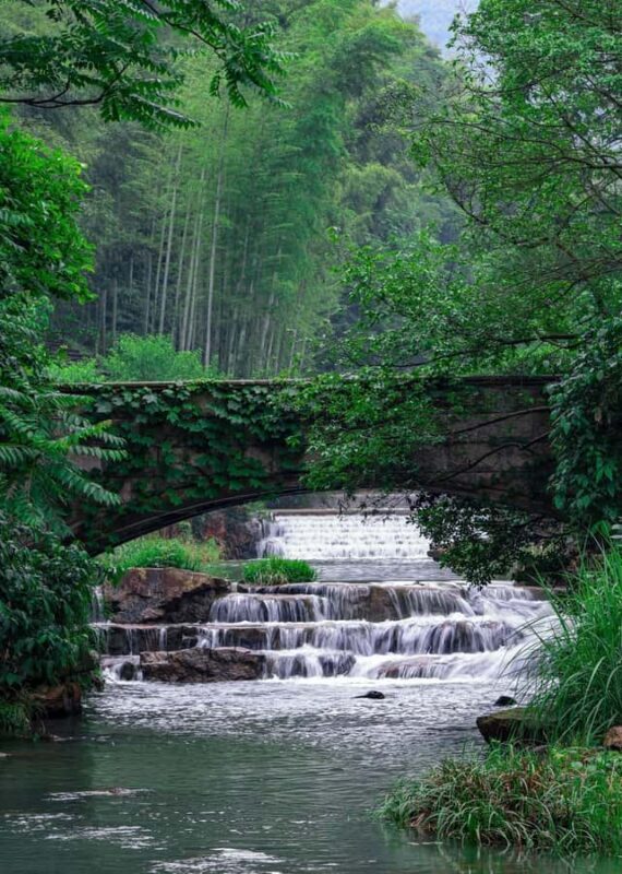 From Shanghai: Yixing Bamboo Sea and Zisha Pottery Day Trip - From Shanghai: Yixing Bamboo Sea and Zisha Pottery Day Trip – An Authentic Escape into Nature and Culture