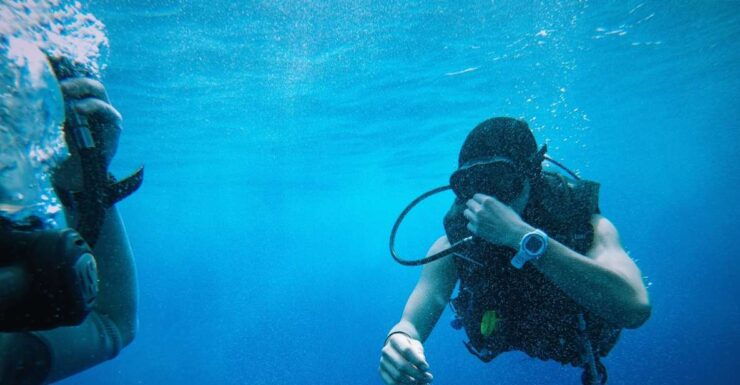 From Sharm El Sheikh: Sharks Bay Scuba Diving Trip - Activity Details