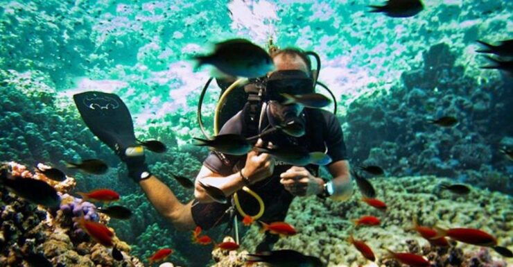 From Sharm or Dahab: Blue Hole & Canyon Sea Dive Experience - Booking Details