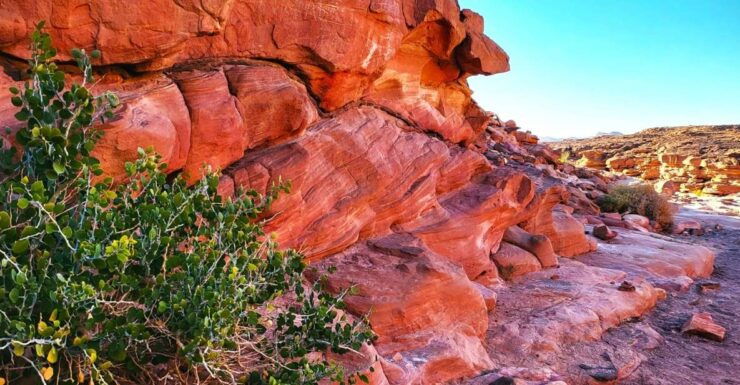 From Sharm: Red Canyon, Dahab, ATV, Camel & Snorkeling Tour - Good To Know