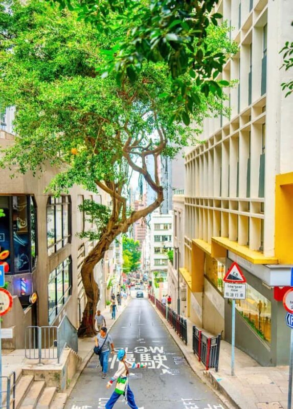 From Shenzhen: Hong Kong Heritage, Skyline & Harbour View - Good To Know