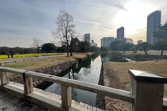 From Shimbashi to Hama Rikyu Gardens Walking Tour - What To Expect