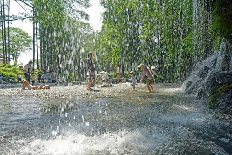 From Shinfuji: Fuji Nature Tour with Guide and Vehicle - The Sum Up: Is This Tour for You?