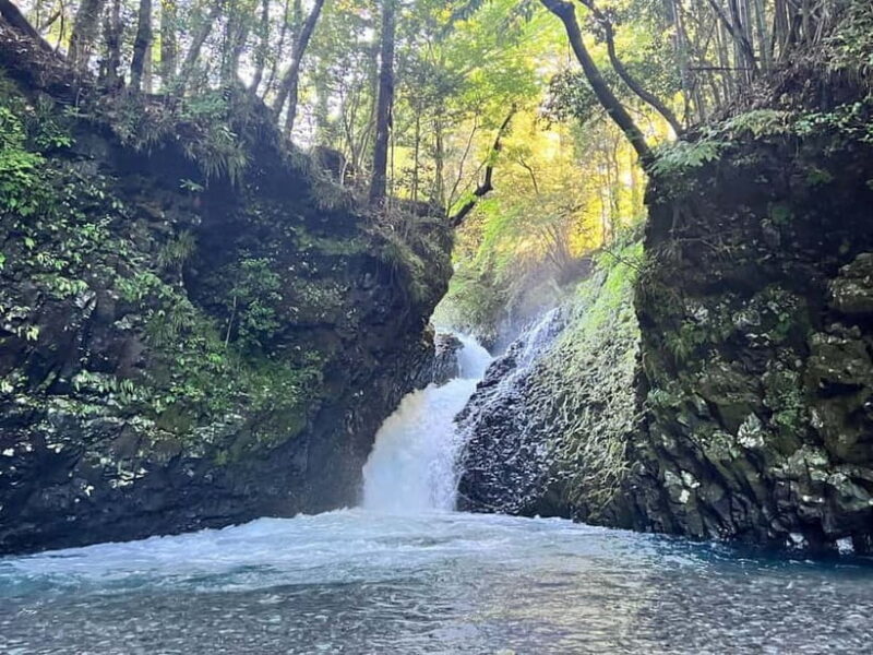 From Shinfuji: Fuji Nature Tour with Guide and Vehicle - Jimba Waterfalls: Hidden and Tranquil