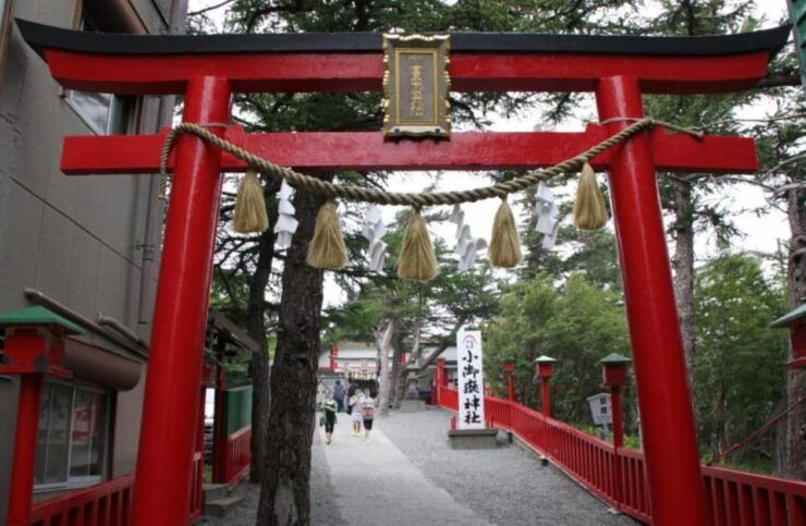 From Shinjuku : Mt. Fuji and Shine Muscat Picking 1day Tour - Itinerary Highlights