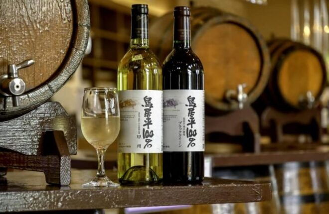 From Shinjuku : Mt. Fuji and Shine Muscat Picking 1day Tour - Chateau Katsunuma Winery