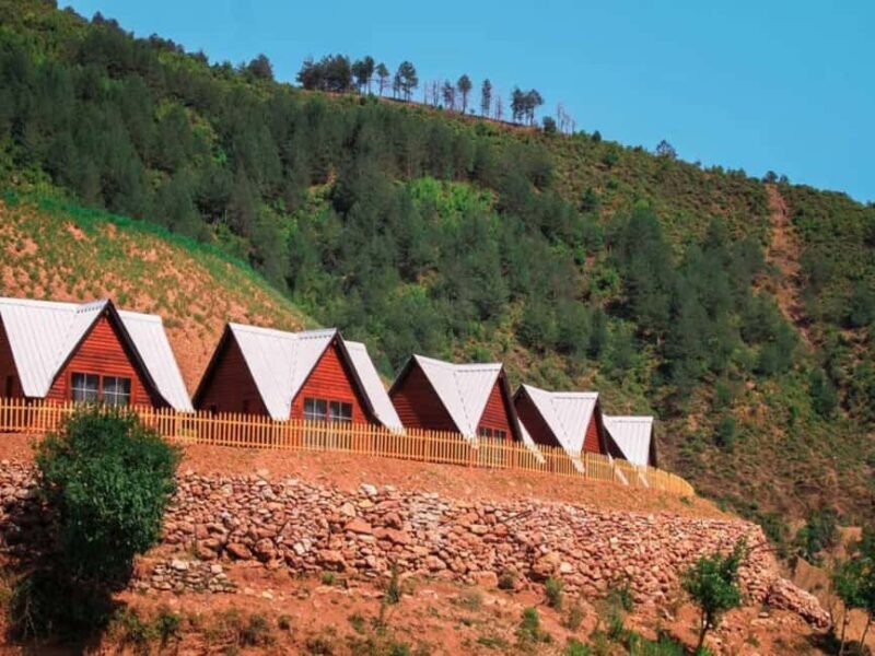 From Shkoder: Komani Lake Day Tour with Traditional Lunch - How the Day Unfolds: A Step-by-Step Look