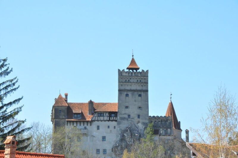 From Sibiu: Day Tour to Brasov and Dracula's Castle - Analyzing Value and Practicalities