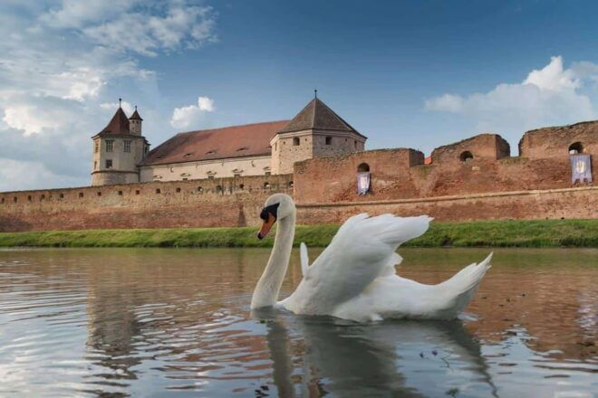 From Sibiu: Guided Tour Full of Surprises! - Important Information