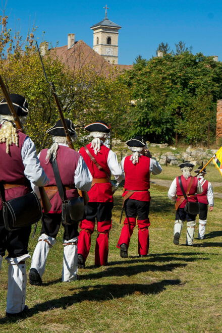 From Sibiu: Tour in the Most Historic City of Transylvania. - Travel Logistics