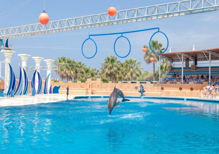 From Side/Alanya: Sealanya Dolphin Show With Hotel Transfers - Experience Highlights