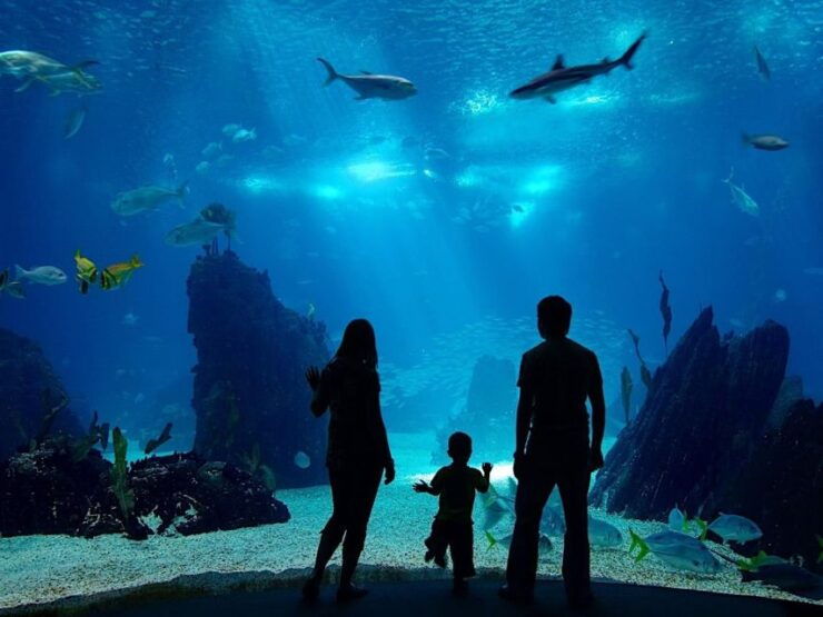 From Side: Antalya Aquarium Full-Day Trip - Experience Highlights