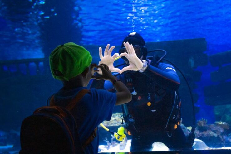 From Side: Antalya Aquarium Tour With Ticket and Transfer - Tour Duration and Language Options