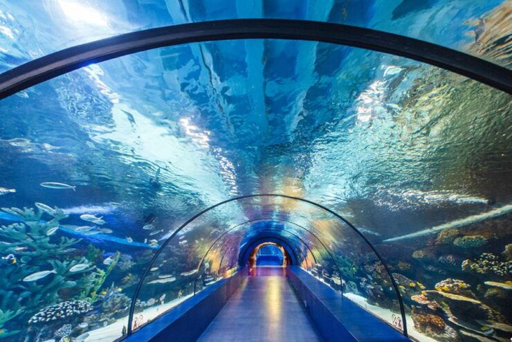 From Side: Antalya Aquarium Tour With Ticket and Transfer - Highlights and Customer Reviews