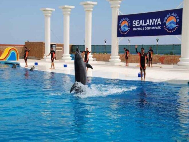 From Side: Dolphin and Seal Show Ticket With Hotel Transfers - Accessibility Features