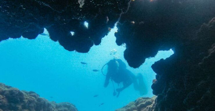 From Side: Full-Day Scuba Diving in Manavgat - Booking Details