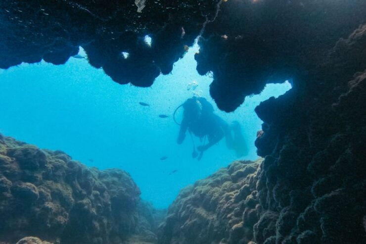 From Side: Full-Day Scuba Diving in Manavgat - Experience Highlights