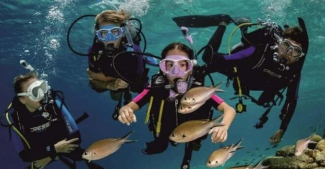 From Side: Scuba Diving: Explore the Depths - Instructor Qualifications