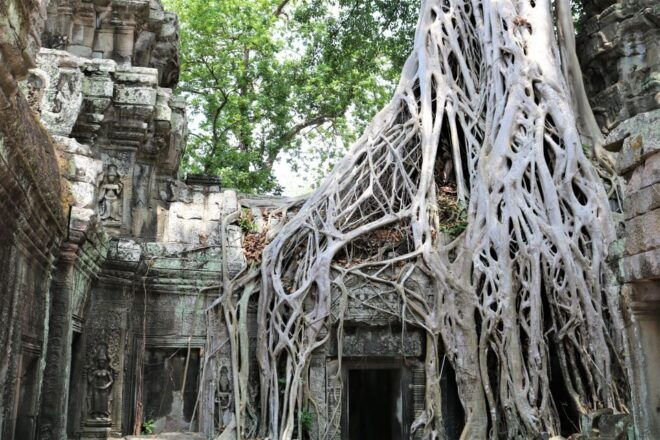 From Siem Reap: 2-Day Small Group Temples Sunrise Tour - Day 2: Temples of Angkor With Sunrise