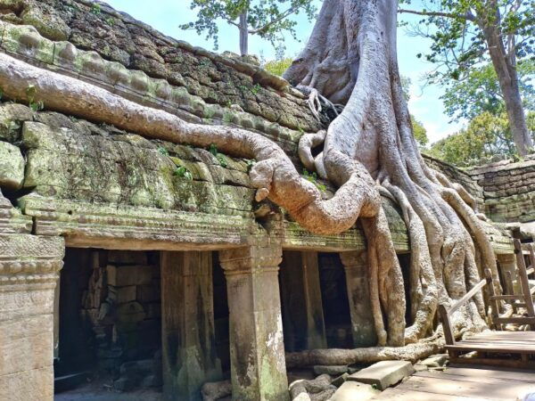 From Siem Reap: 2-Day Small Group Temples Sunrise Tour - Common Questions