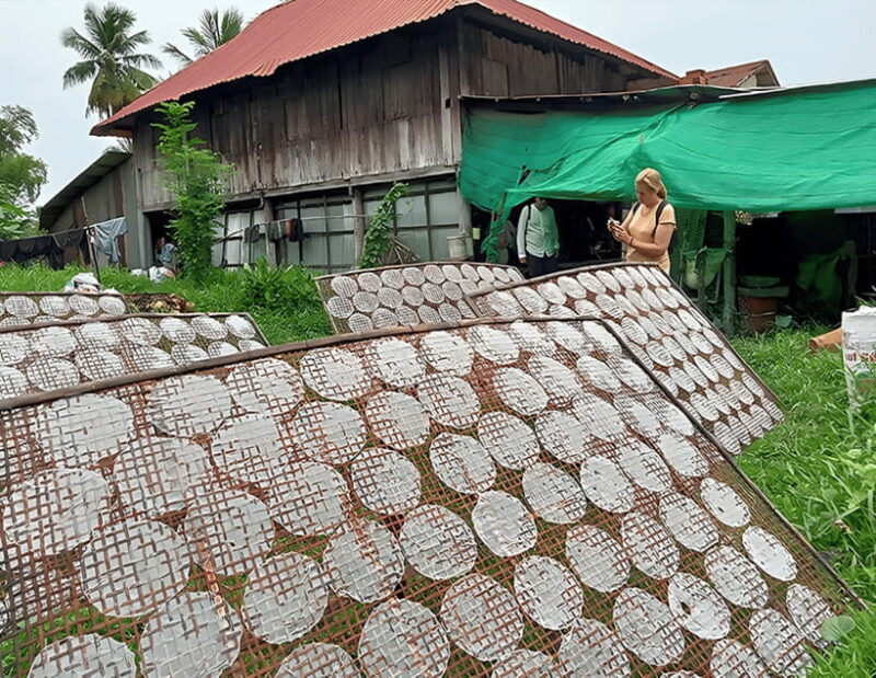From Siem Reap: Battambang Full-Day Tour with Bamboo Train - Final Thoughts: Who Would Love This Tour?