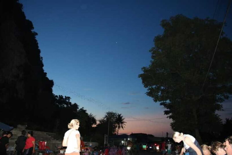 From Siem Reap: Battambang Full-Day Tour with Bamboo Train - Return Journey to Siem Reap