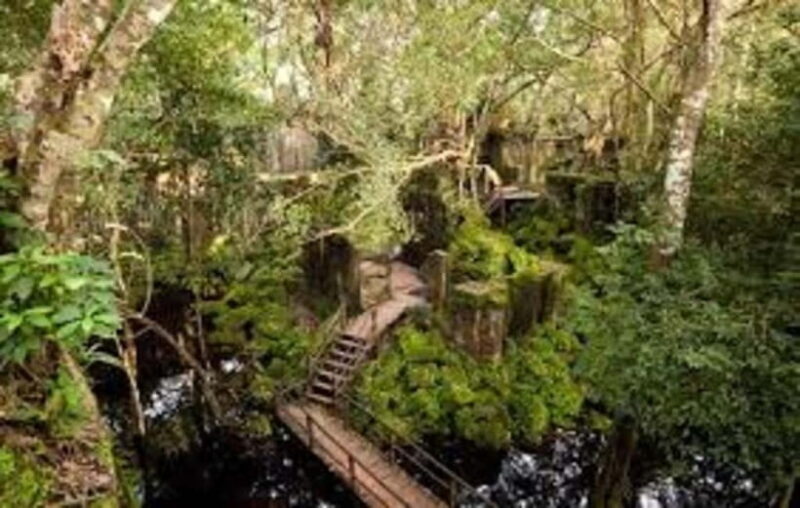 From Siem Reap: Beng Mealea and Kamphong Phluk Day Tour - Exploring Beng Mealea: Cambodia’s Hidden Temple