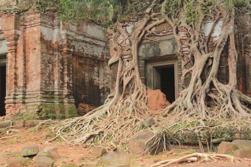 From Siem Reap: Beng Mealea and Koh Ker Temple Day Trip - From Siem Reap: Beng Mealea and Koh Ker Temple Day Trip