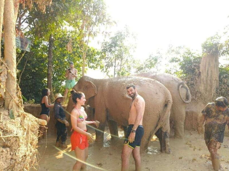 From Siem Reap: Elephant Sanctuary Experience with Transfers - Good To Know
