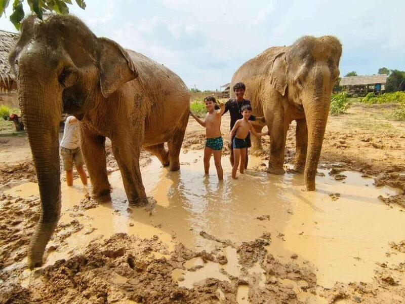 From Siem Reap: Elephant Sanctuary Experience with Transfers - A Well-Designed, Respectful Elephant Encounter