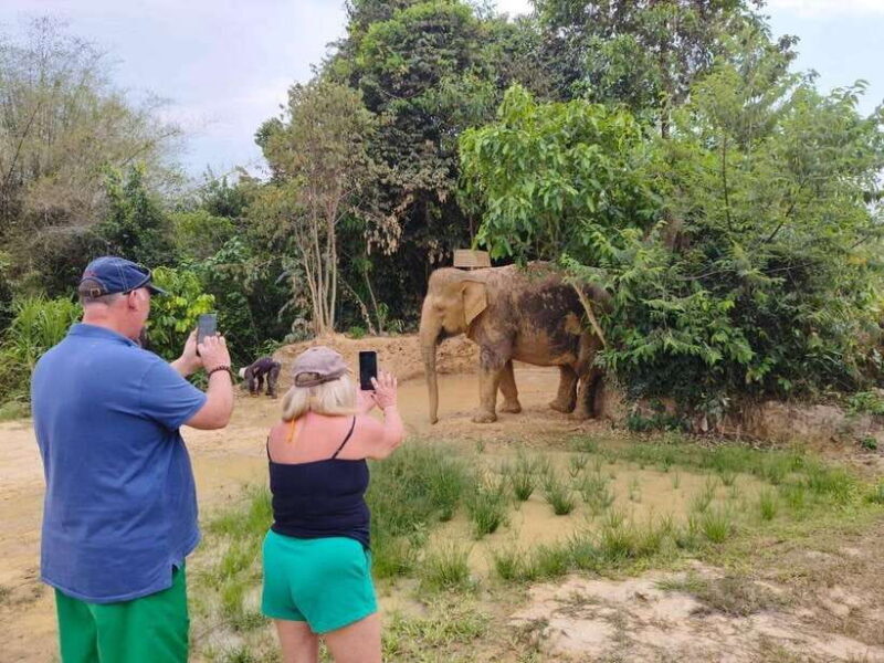 From Siem Reap: Elephant Sanctuary Experience with Transfers - What to Expect: Day-by-Day Experience Breakdown