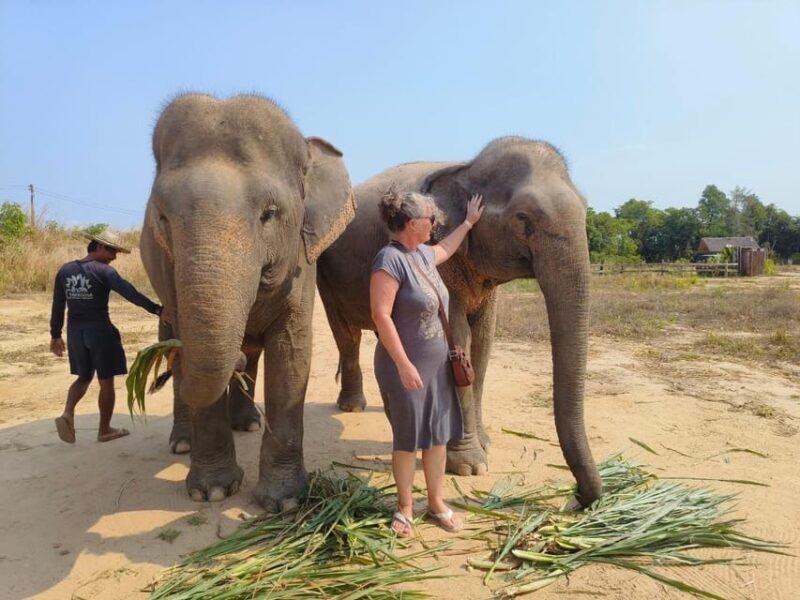 From Siem Reap: Elephant Sanctuary Experience with Transfers - Frequently Asked Questions