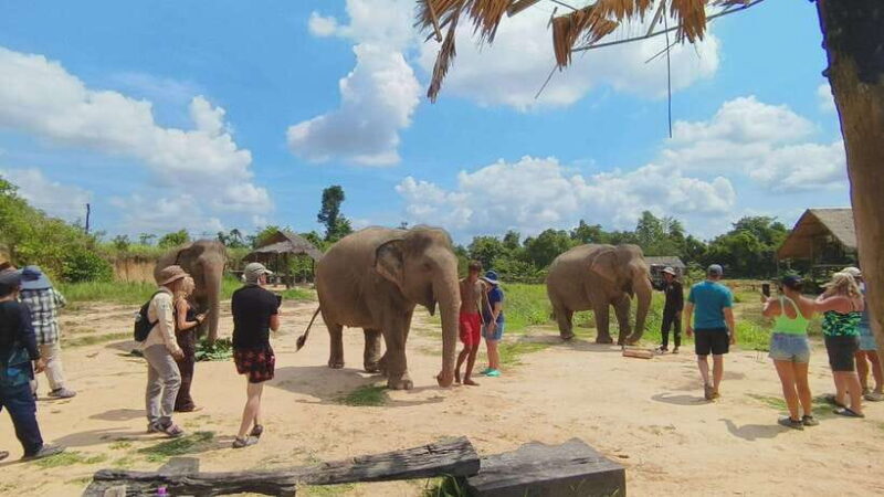 From Siem Reap: Elephant Sanctuary Experience with Transfers - FAQs