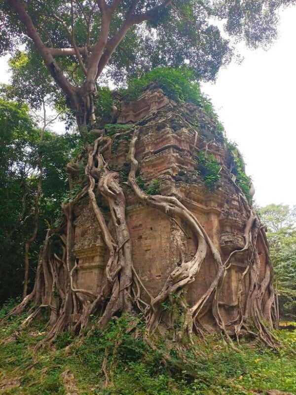 From Siem Reap: Sambor Prei Kuk and Kompong Kdei Day Trip - What’s Included and What’s Not