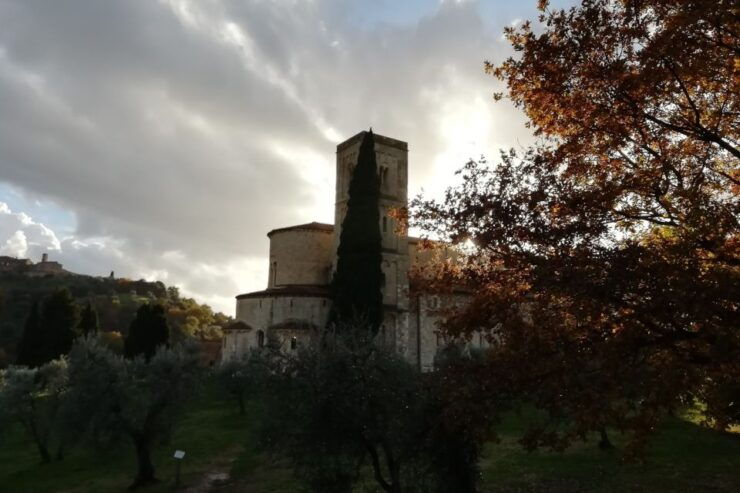 From Siena: Brunello Di Montalcino Guided Wine Tour W/ Lunch - Experience and Activities
