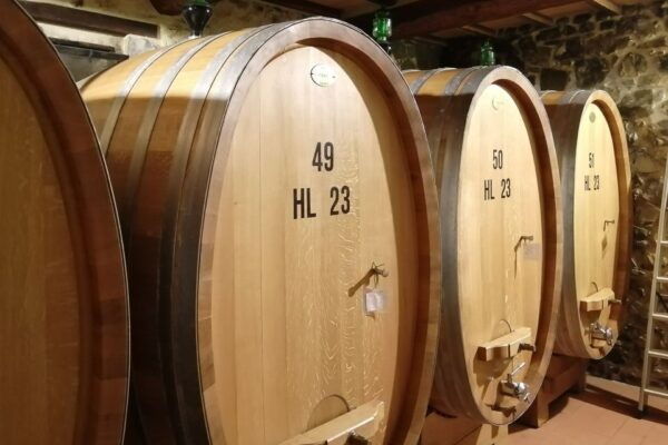From Siena: Brunello Di Montalcino Guided Wine Tour W/ Lunch - The Sum Up