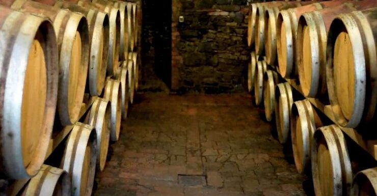 From Siena: Brunello Di Montalcino Wine Tour by Minivan - Experience Highlights