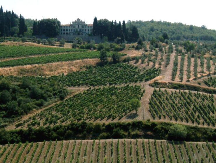 From Siena: Chianti and Castles Tour With Wine Tastings - Experience
