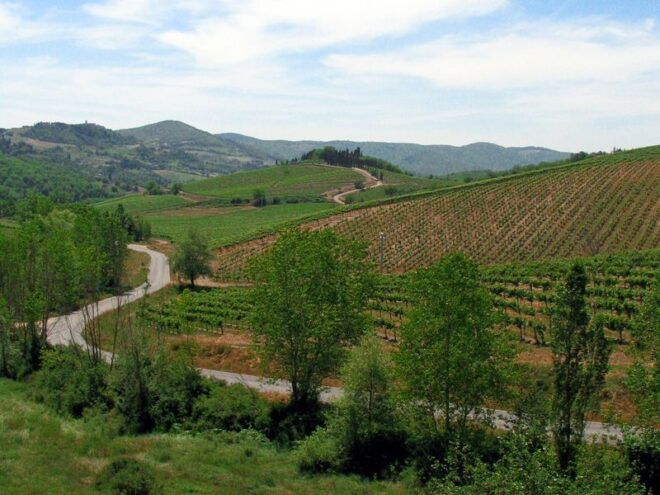 From Siena: Chianti and Castles Tour With Wine Tastings - Review Summary