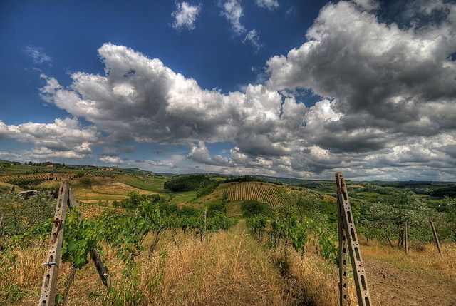 From Siena: Chianti and Castles Tour With Wine Tastings - Additional Information