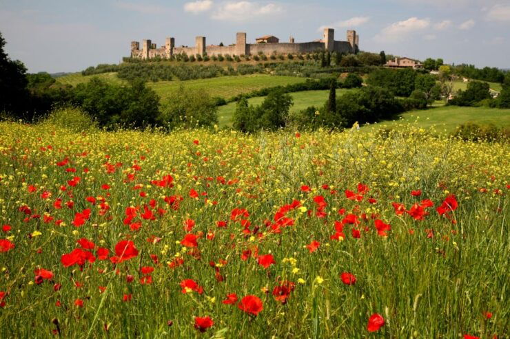 From Siena: Chianti Countryside E-Bike Tour W/ Lunch & Wine - Activity Details