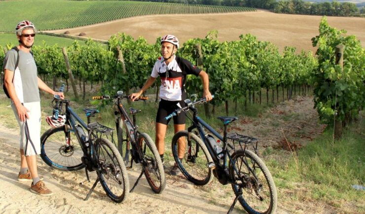 From Siena: Chianti Countryside E-Bike Tour W/ Lunch & Wine - Experience Highlights