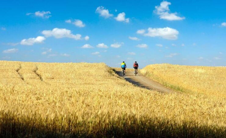 From Siena: Chianti Electric Bike Tour - Good To Know