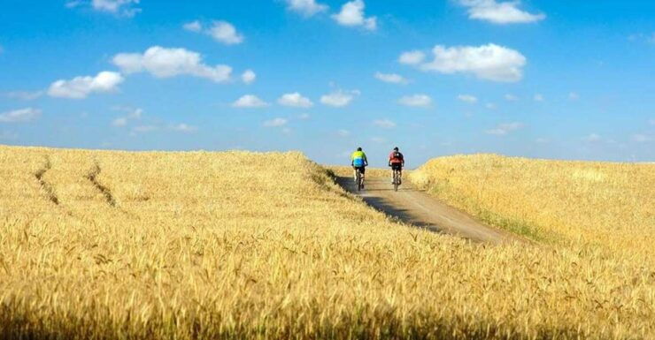 From Siena: Chianti Electric Bike Tour - Tour Experience