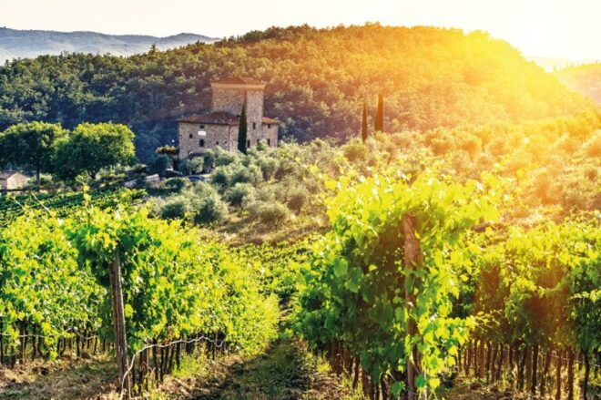 From Siena: Chianti Electric Bike Tour - Important Information
