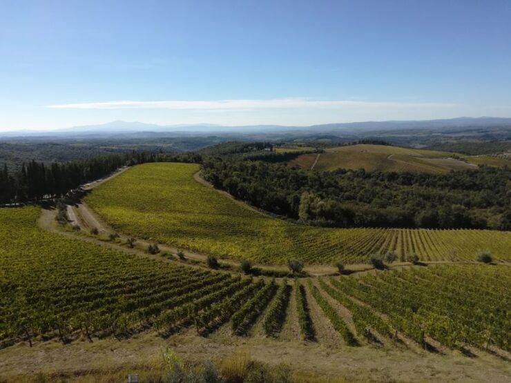 From Siena: Chianti Wine Tour With Lunch - Good To Know