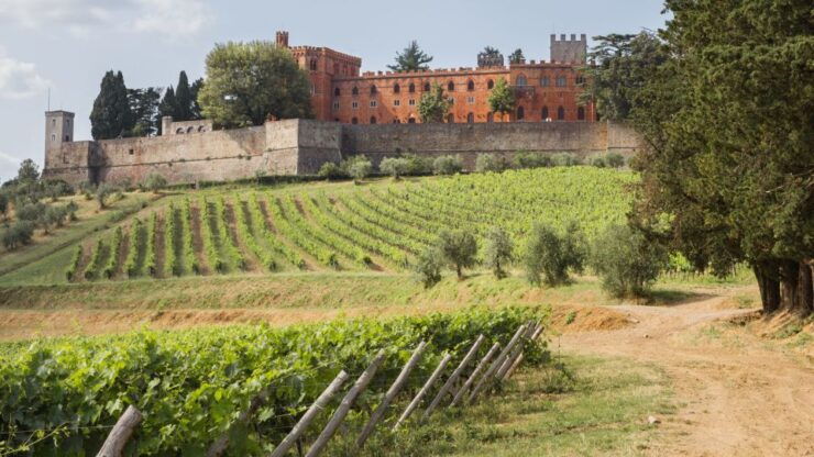 From Siena: Chianti Wine Tour With Lunch - Activity Details