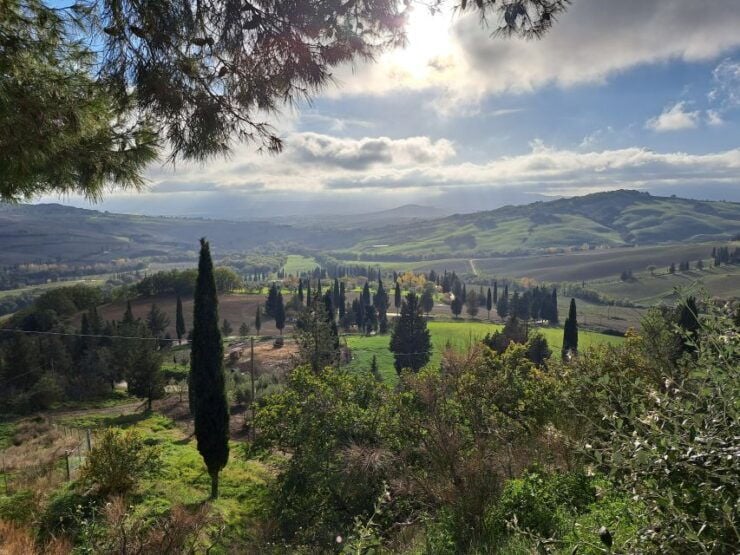 From Siena: Pienza and Montepulciano Small-Group Tour - Tour Information